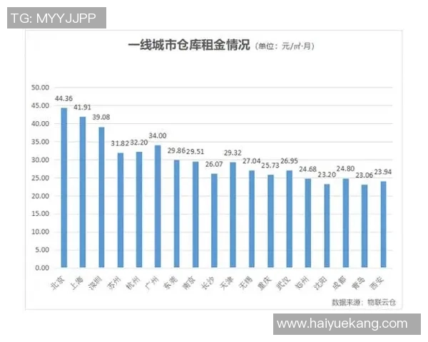 深入分析上海排球队的运营策略与发展模式探讨