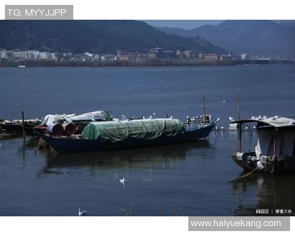 深度对话:周丽如何在排球人生中追逐梦想与挑战 深度对话:周丽如何在排球人生中追逐梦想与挑战