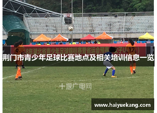 荆门市青少年足球比赛地点及相关培训信息一览