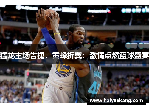 猛龙主场告捷，黄蜂折翼：激情点燃篮球盛宴